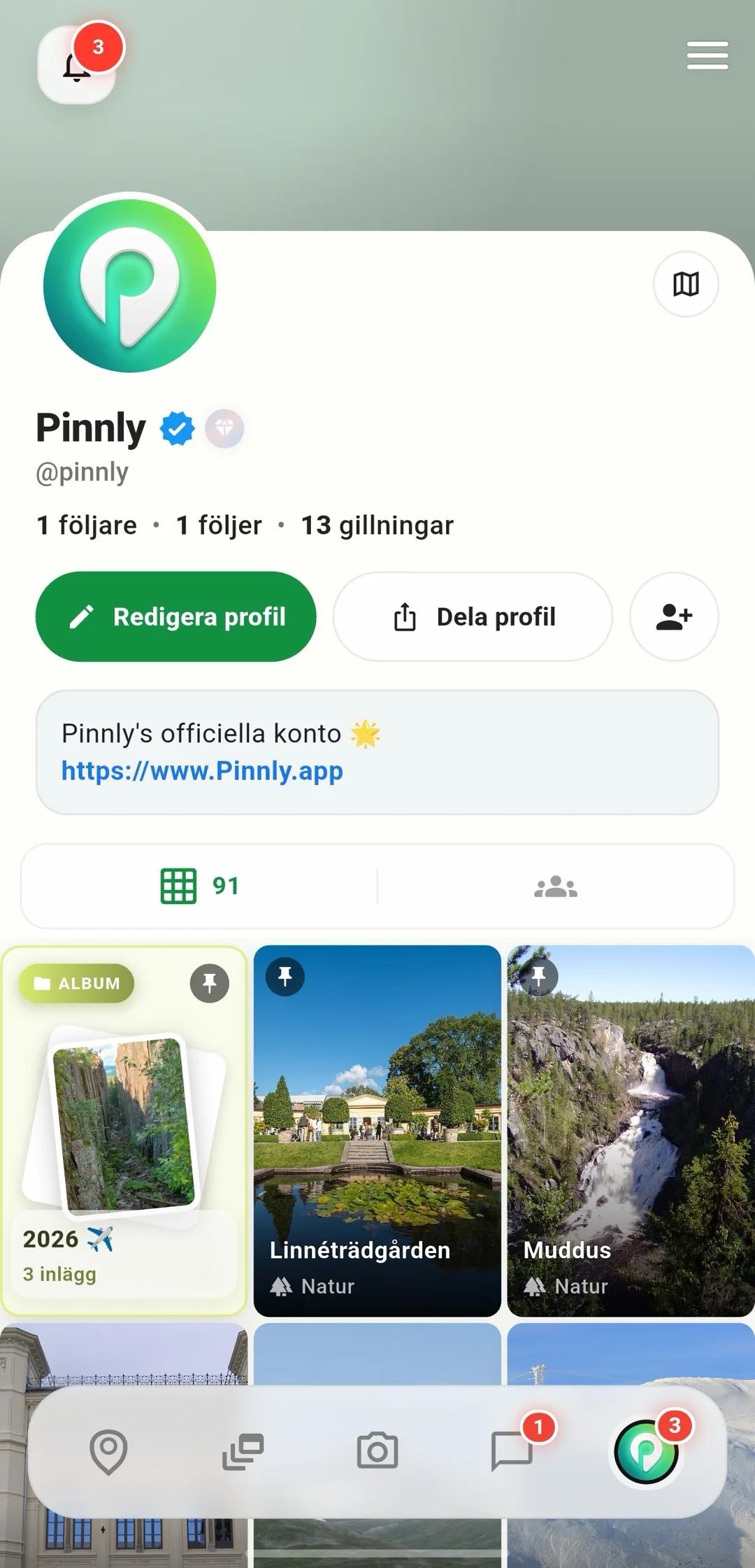 Profilen med alla egna pins